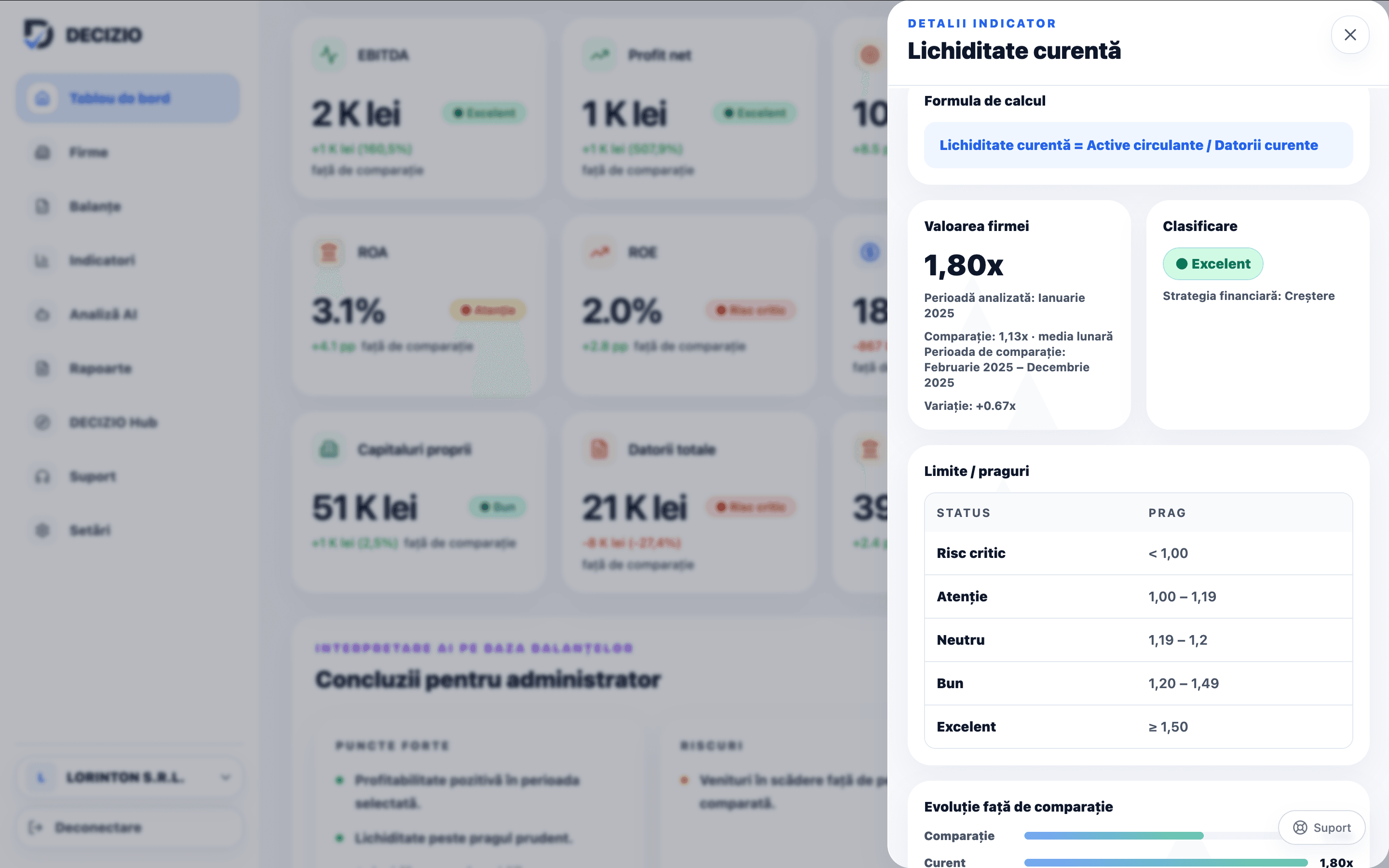 Detaliul unui indicator financiar în DECIZIO